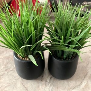 Fake grass decorate plants